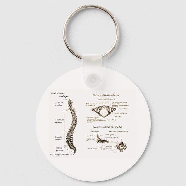 Porte-clés Détails de la colonne épine Sepia (Recto)