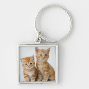 Porte-clés Deux chatons adorables