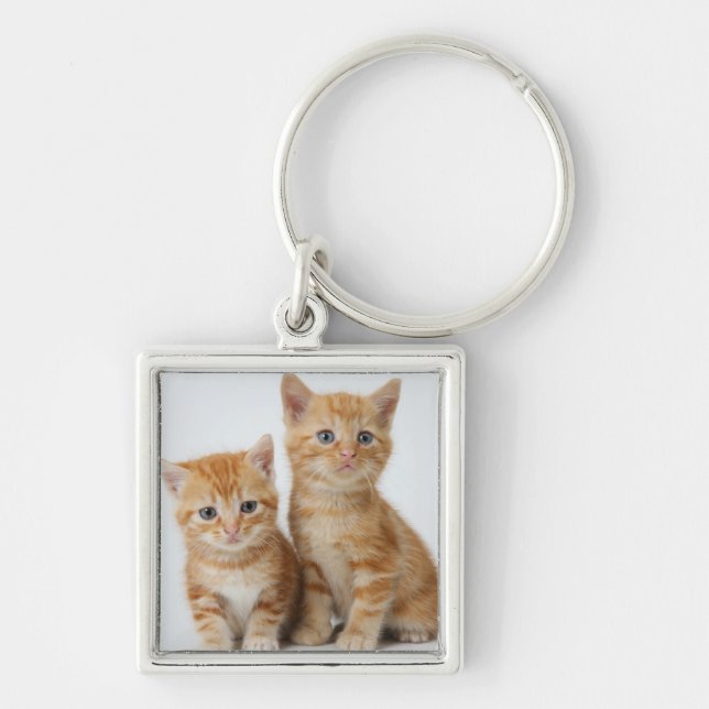 Porte-clés Deux chatons adorables (Devant)