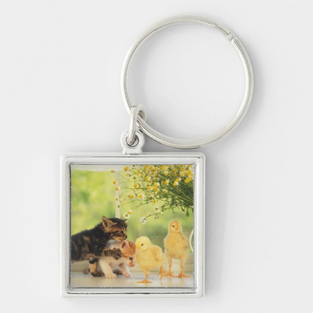 Porte-clés Deux chatons et deux poussins jouant, vue de face, (Devant)