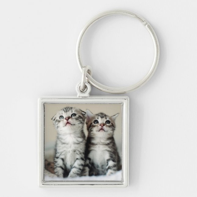 Porte-clés Deux chatons mignons (Devant)