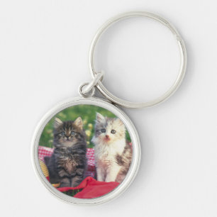 Porte-clés Deux chatons se reposant sur une couverture