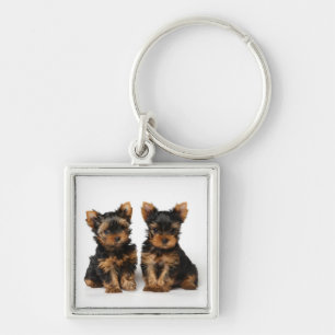 Porte-clés Deux chiots