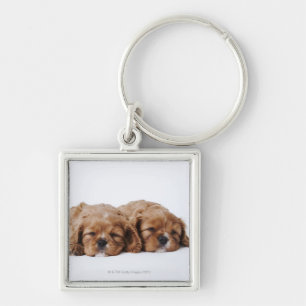 Porte-clés Deux chiots cavaliers d'épagneul du Roi Charles