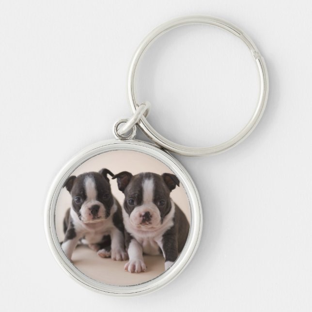 Porte-clés Deux chiots de Boston Terrier (Devant)