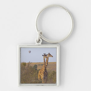 Porte-clés Deux girafes (camelopardalis de Giraffa), masais