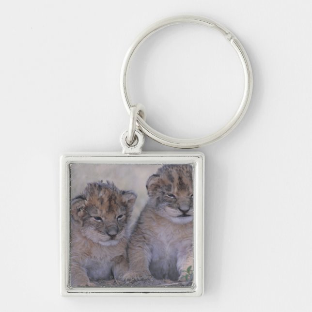 Porte-clés Deux lion CUB (Devant)