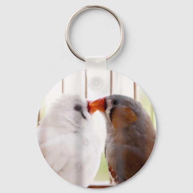 Porte-clés Deux mignons bouillons en cage (Recto)