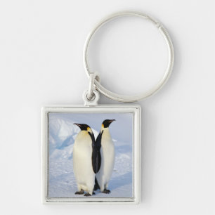 Porte-clés Deux pingouins d'empereur en Antarctique