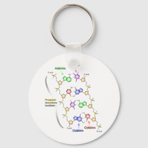 Porte-clés Diagramme détaillé de la constitution chimique d