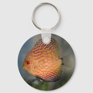 Porte-clés Discus en Pierre de Pigeon
