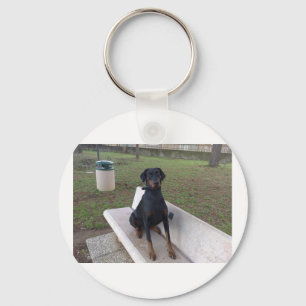 Porte-clés doberman pincher assis.png