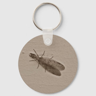 Porte-clés Dobsonfly insecte volant sépia