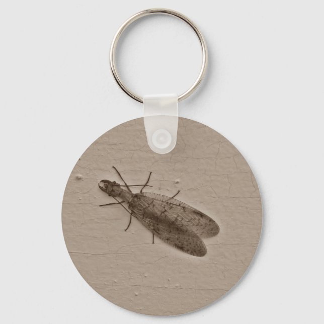 Porte-clés Dobsonfly insecte volant sépia (Recto)