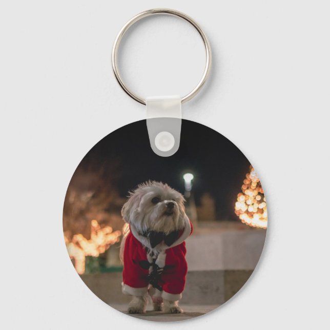 Porte-clés Dog à Santa costume (Recto)