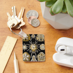 Porte-clés Dollars de sable d'oursins de mer vintage par Erns