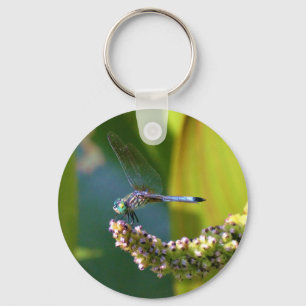 Porte-clés Dragonfly aux yeux turquoises