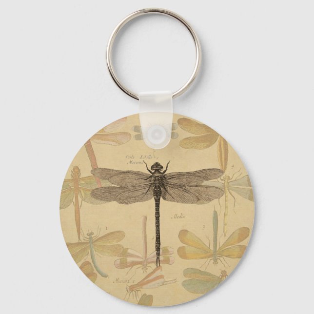 Porte-clés Dragonfly Vintage Antique Classic Drawing (Recto)