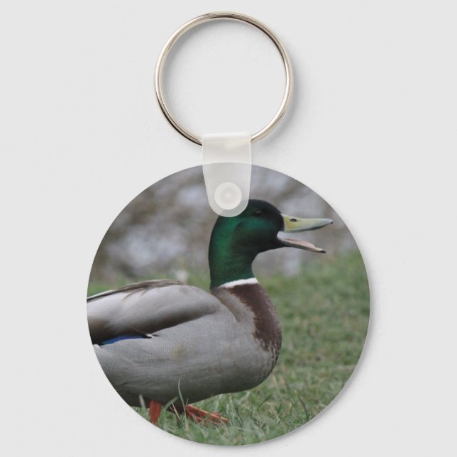 Porte-clés Drake Mallard Duck (Recto)