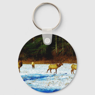 PORTE-CLÉS DSC00131.JPG