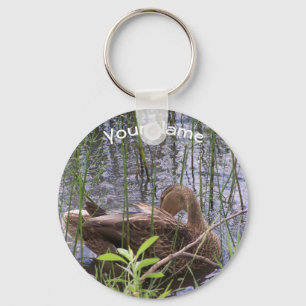 Porte-clés Duck Preening in the Reed