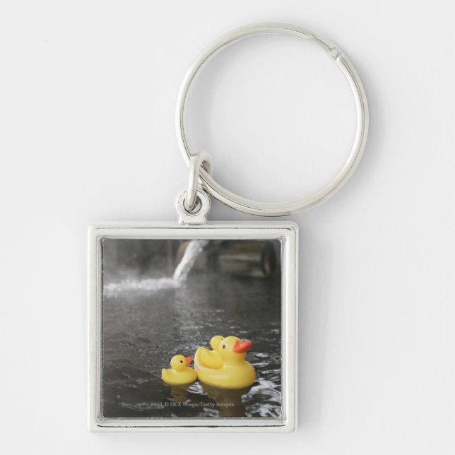 Porte-clés Duckies en caoutchouc japonais (Devant)
