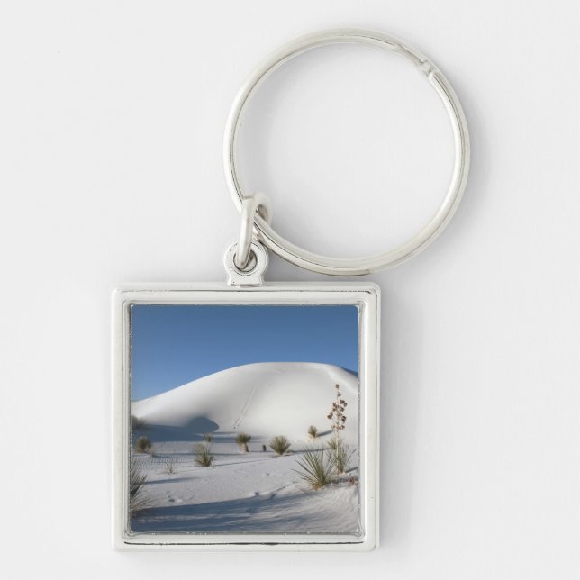 Porte-clés Dunes transversales et Yucca Soaptree (Devant)