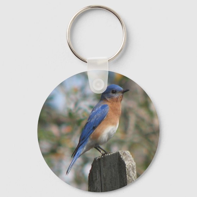 Porte-clés Eastern Bluebird Male Keychain (Recto)