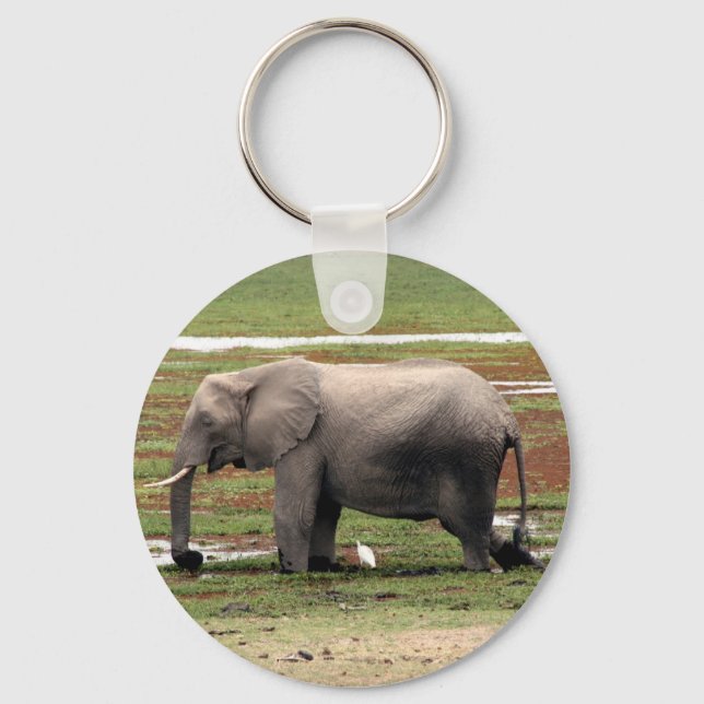 Porte-clés eau d'éléphant (Recto)