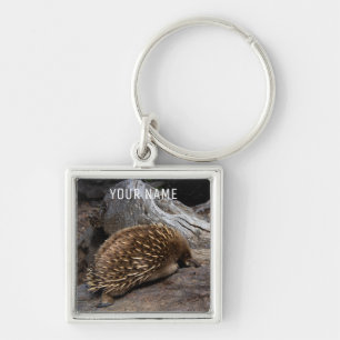 Porte-clés Echidna Australie Mignonne Anteater animal