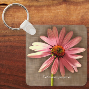 Porte-clés Échinacée pourpre Echinacea purpurea