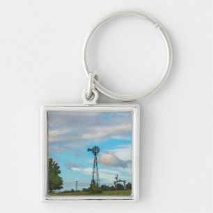 Porte-clés Éclosion d'oiseaux du moulin à vent
