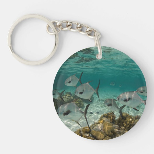 Porte-clés École de poissons permis (Devant)
