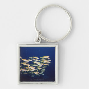 Porte-clés École des poissons 8