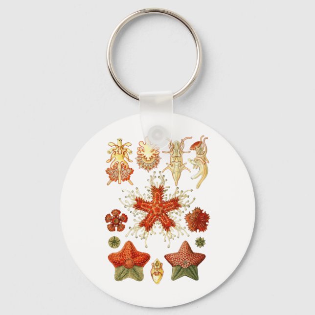 Porte-clés Écre (Recto)