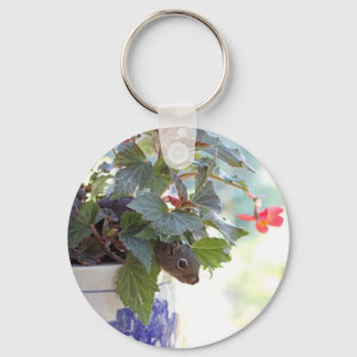 Porte-clés Écureuil en pot de fleurs