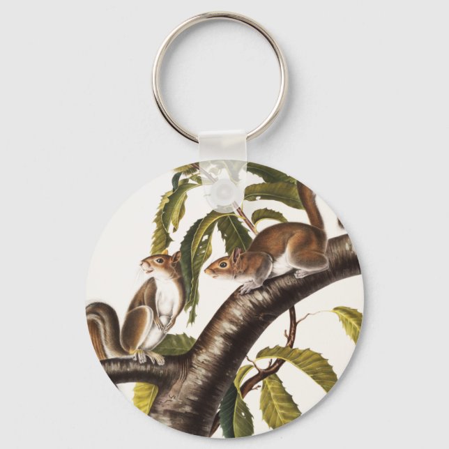 Porte-clés Écureuil gris de Caroline (Sciurus Carolinensis) (Recto)