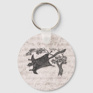 Porte-clés Écureuil volant vintage des années 1800 - Planeur 