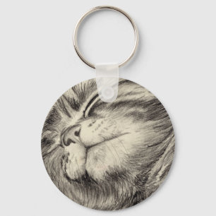 Porte-clés effritement de chat tabby