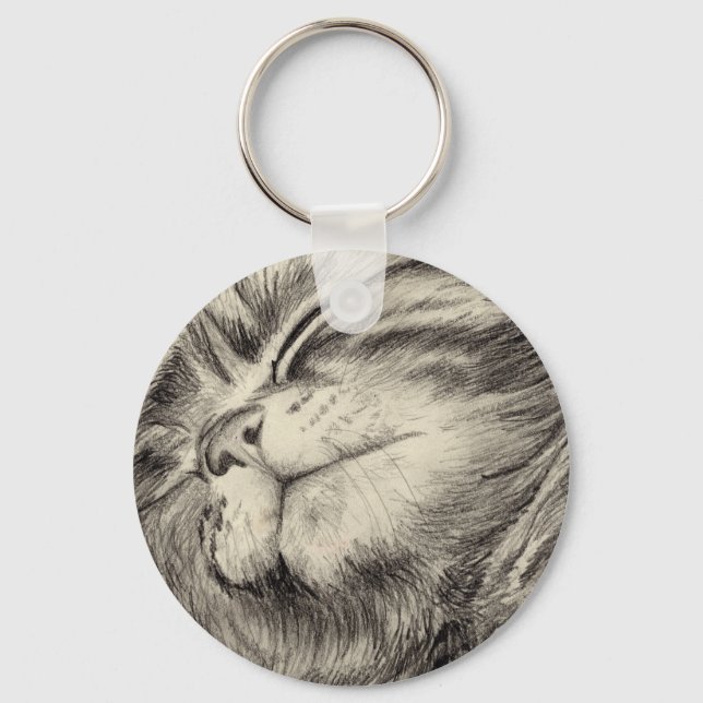 Porte-clés effritement de chat tabby (Recto)