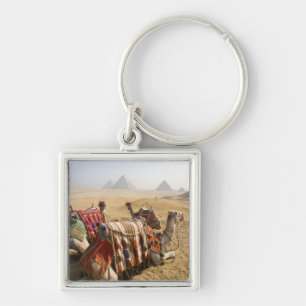 Porte-clés Égypte, Le Caire. Chameaux au repos