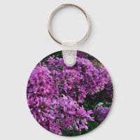 Élégante floraison de magenta violet profond fleur