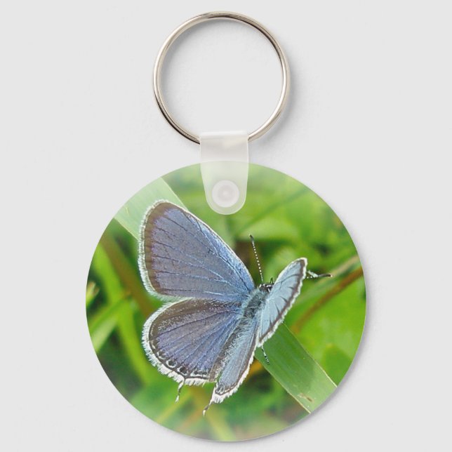 Porte-clés Éléments de coordination du papillon bleu à queue  (Recto)