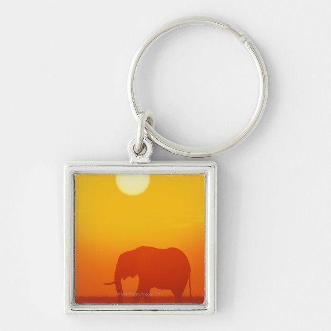Porte-clés Éléphant africain marchant au coucher du soleil, (Devant)