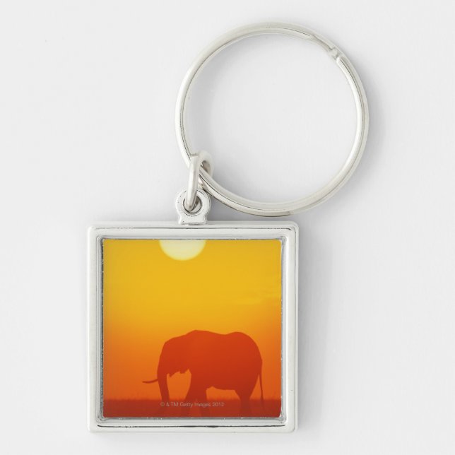 Porte-clés Éléphant africain marchant au coucher du soleil, (Devant)