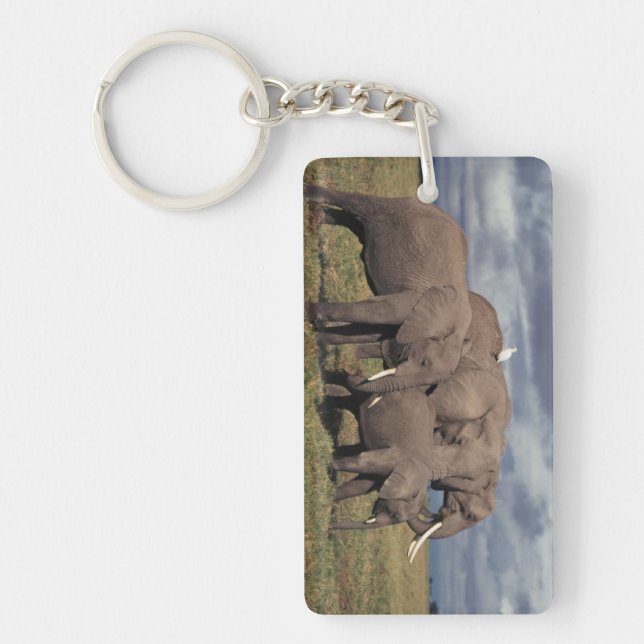 Porte-clés Éléphant d'Afrique bébé avec sa famille (Devant)