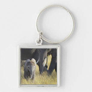 Porte-clés Éléphant de bébé