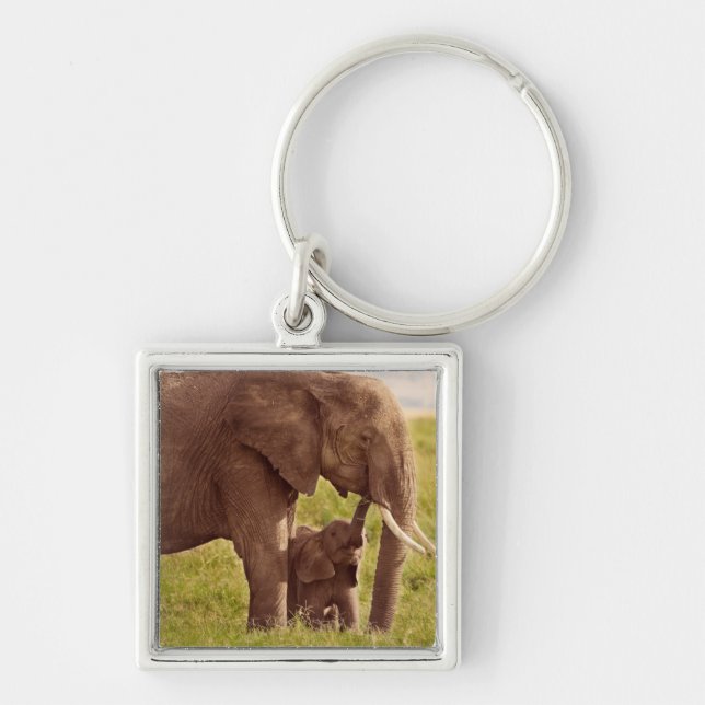 Porte-clés Éléphant et bébé des images | de Getty (Devant)