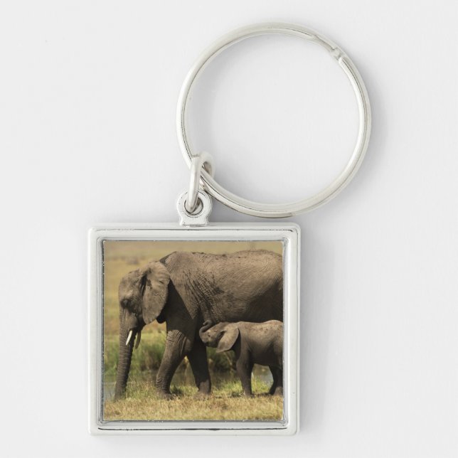 Porte-clés Éléphants africains (Devant)