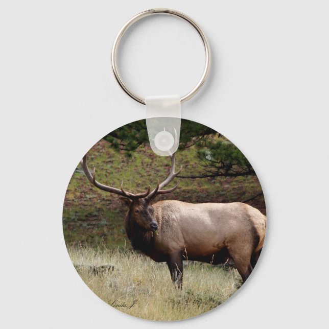 Porte-clés Elk dans le désert (Recto)